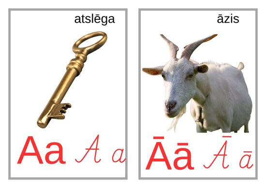 Alfabēta kartītes