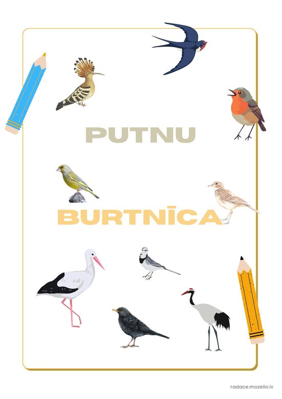 Putnu burtnīca