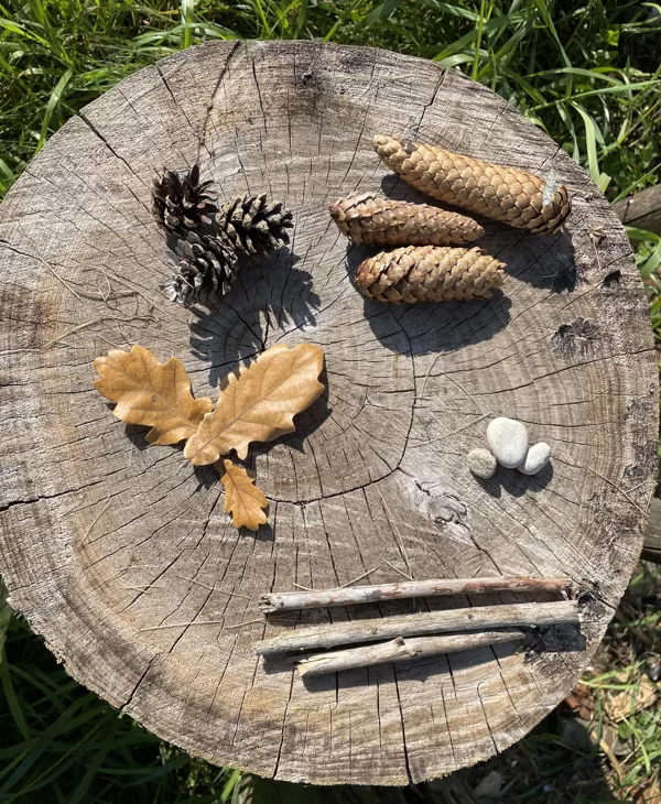 Dabas materiāli